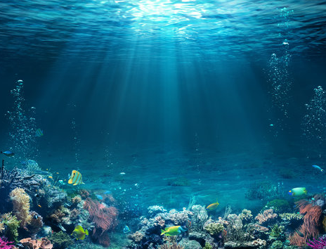 Luz do sol atravessando águas calmas e azul-esverdeadas do mar