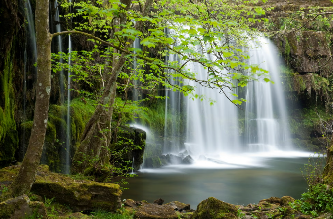 Cachoeira suave entre árvores verdes banhada pela luz do dia